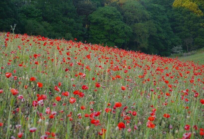 Riding Farm Cottages