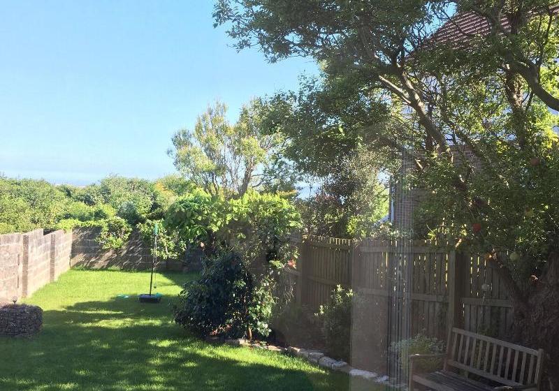 Tors Top Bed And Breakfast