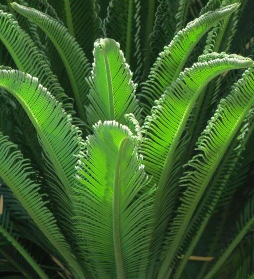 B&b Le Patio En Ville   Chambres D Hôtes