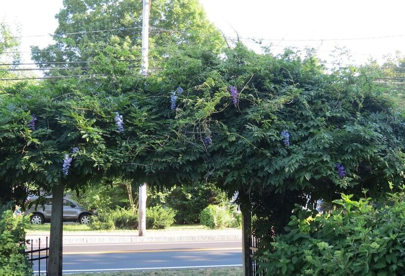 مبيت وإفطار The Silver Fountain Inn