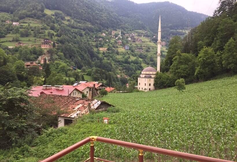 Doga Motel Villa Apart