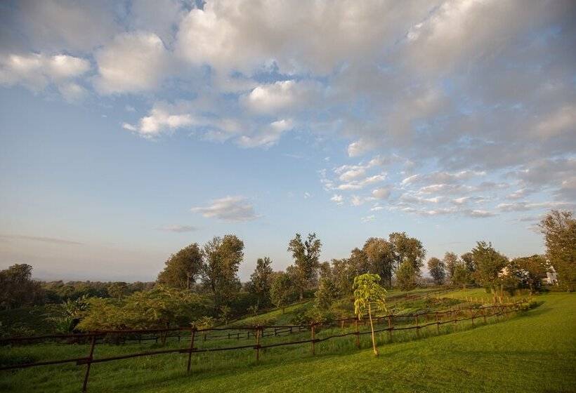 Elewana The Manor Ngorongoro
