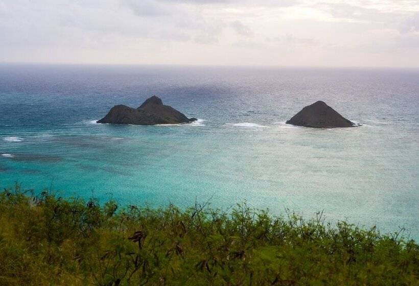 Hawaii S Hidden Hideaway Bed & Breakfast