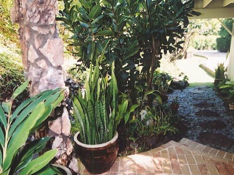 Hawaii S Hidden Hideaway Bed & Breakfast