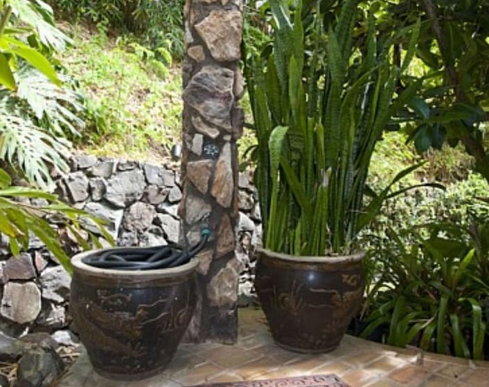 Hawaii S Hidden Hideaway Bed & Breakfast