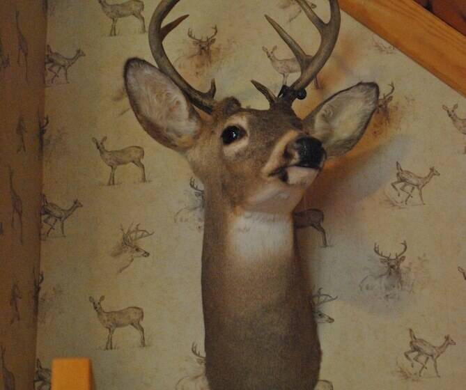 Horton Creek Inn B&b