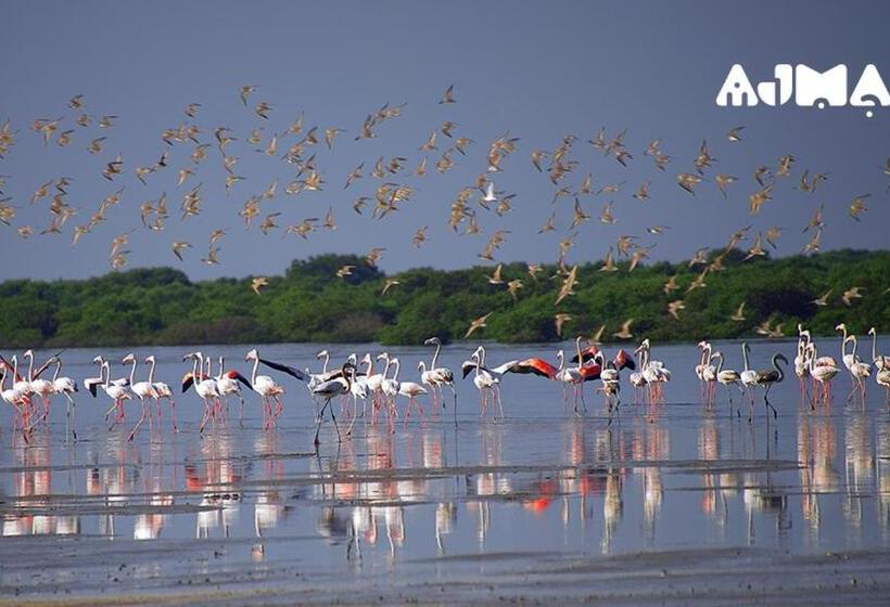 Mermaid Beach Hotel Llc