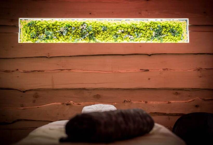 ホテル Montana Chalet Hôtel Spa