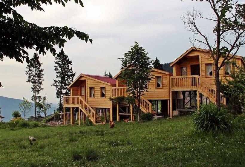 فندق Pilav Dagi Yavuzyilmaz Tesisleri