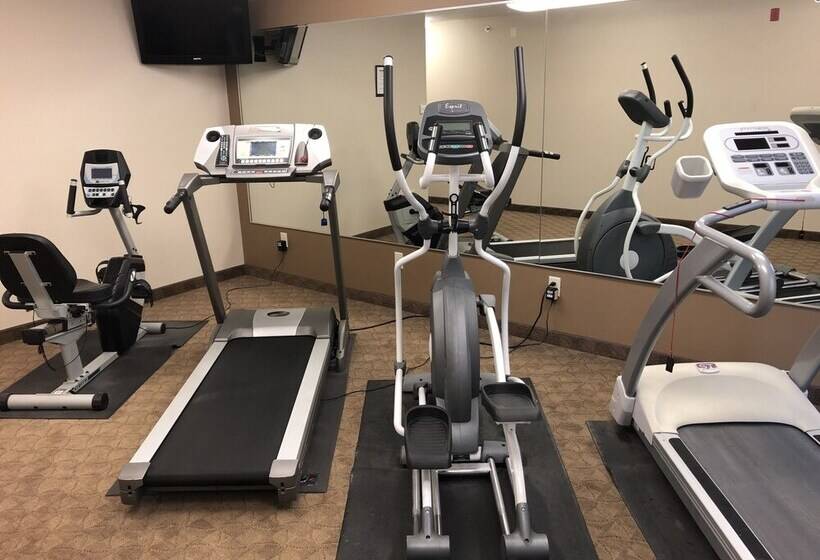 호텔 Shenandoah Inn & Suites