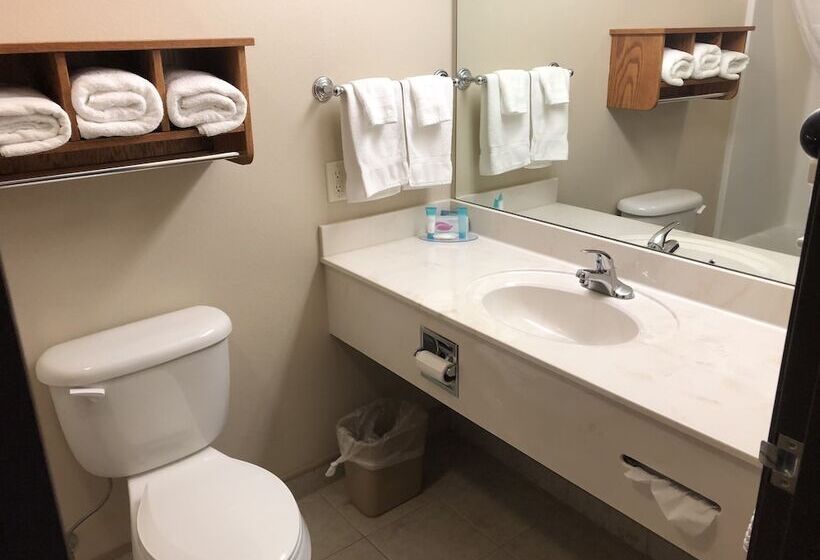 호텔 Shenandoah Inn & Suites