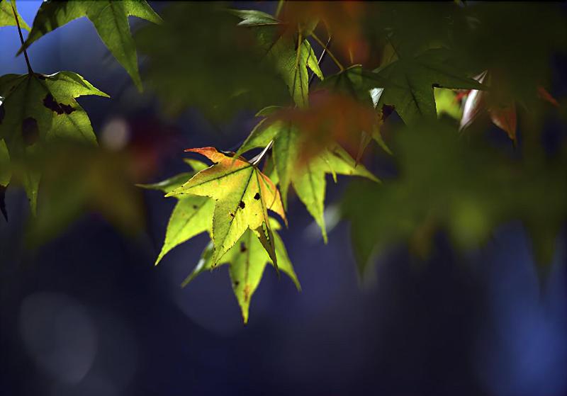 هتل Sun Moon Lake Teachers' Hostel