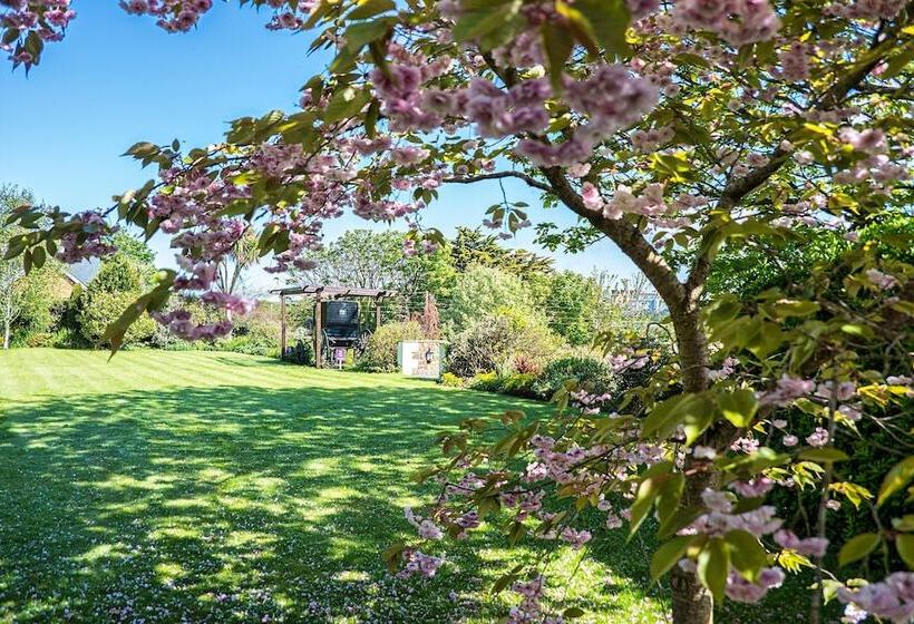 Отель The Falcon