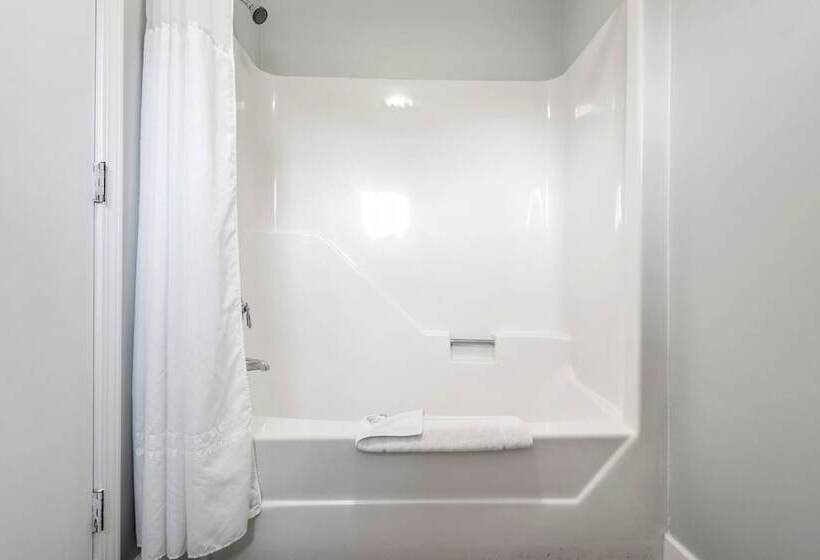 فندق The Lighthouse Inn & Suites