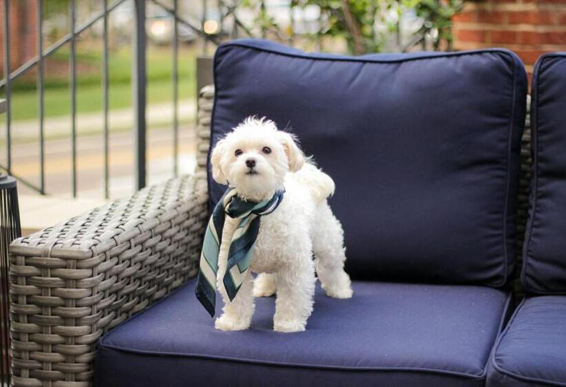 호텔 The Oliver, Oxford