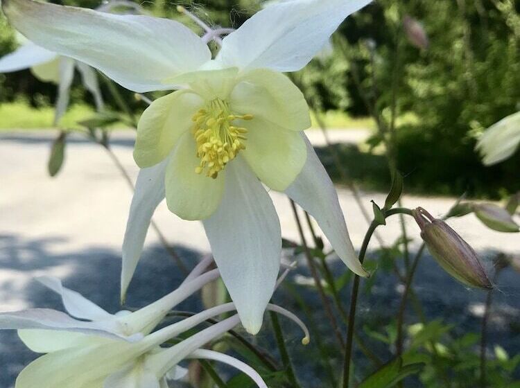 فندق Twin Peaks Lodge And Rv Park