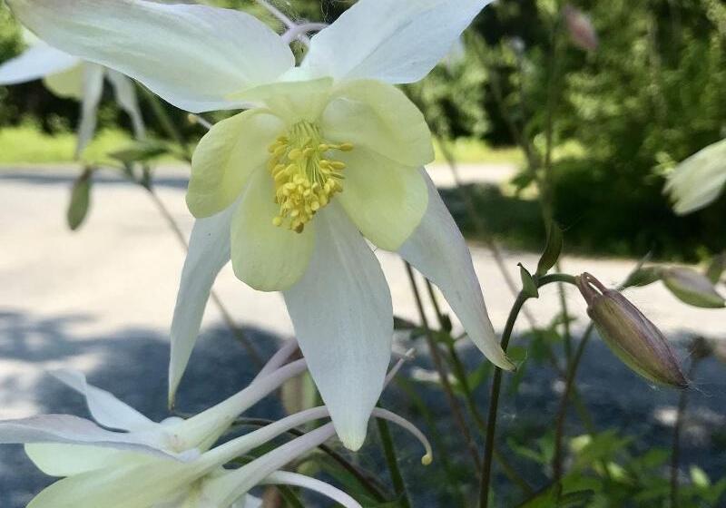 فندق Twin Peaks Lodge And Rv Park