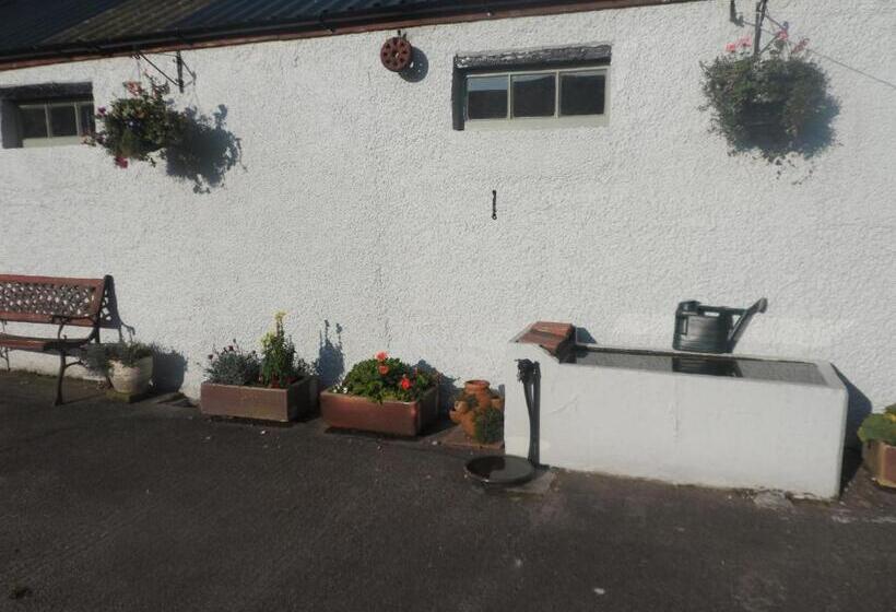 Midtown Farm Bed & Breakfast