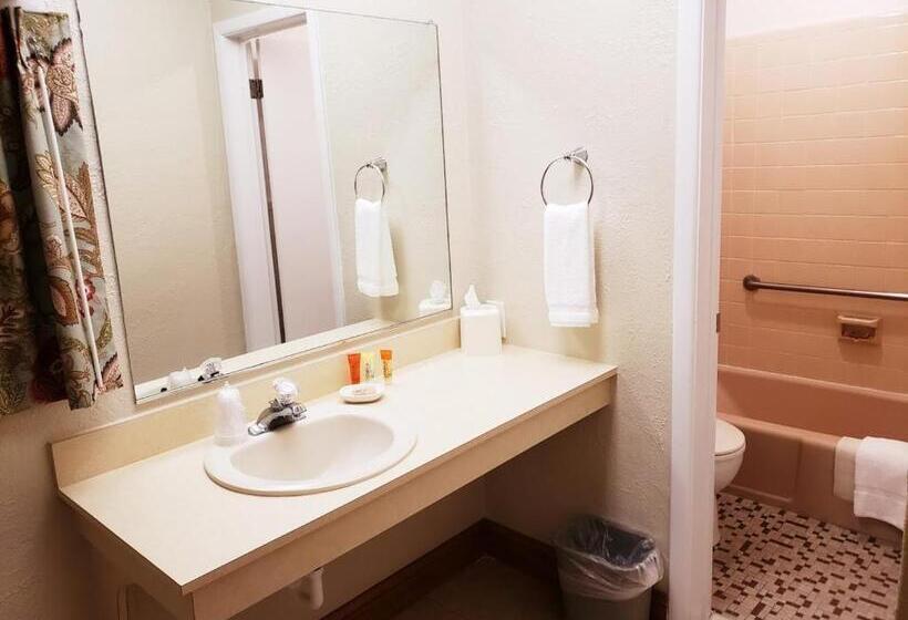 モーテル Avondale By The Sea