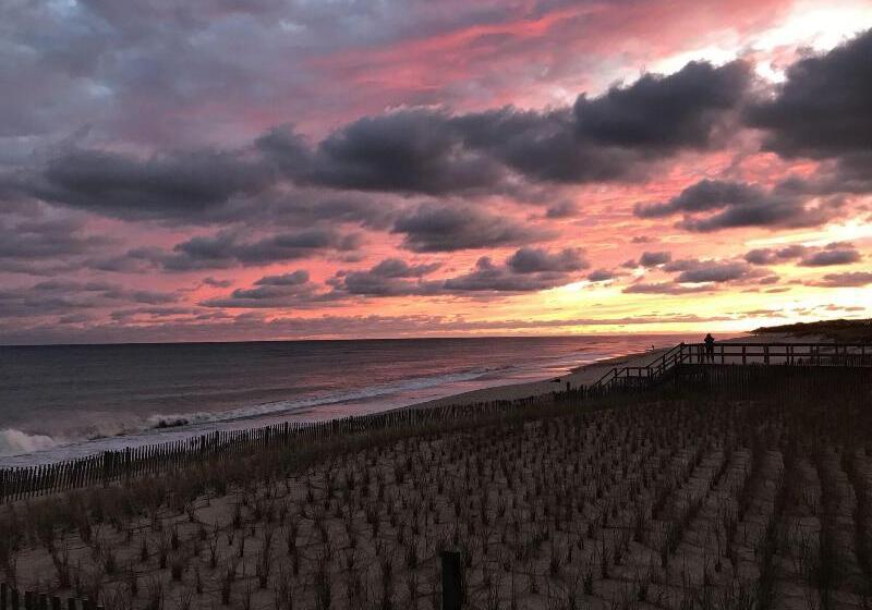 فندق على الطريق Ocean Surf Resort