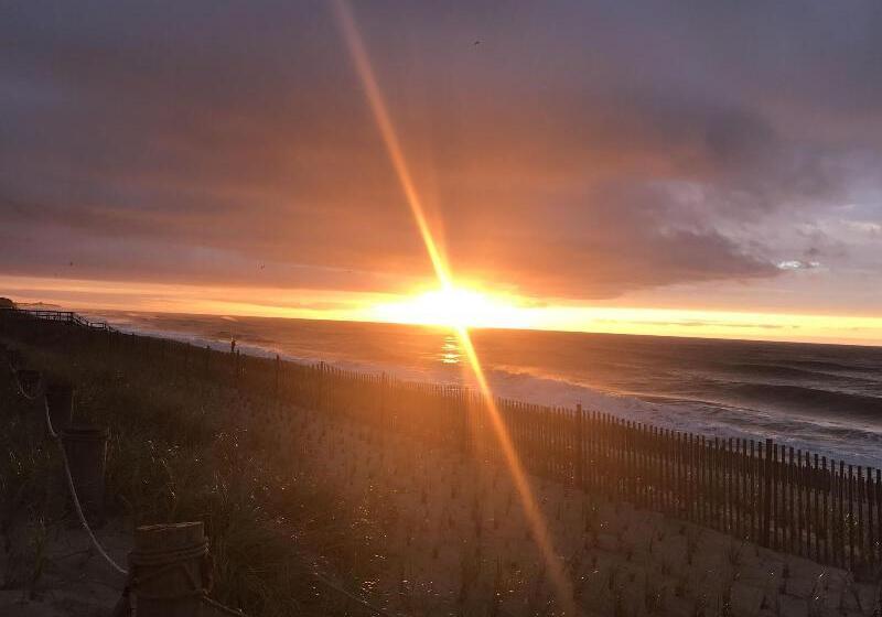 فندق على الطريق Ocean Surf Resort