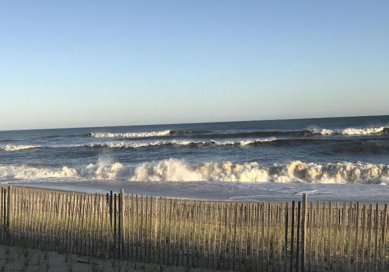 فندق على الطريق Ocean Surf Resort