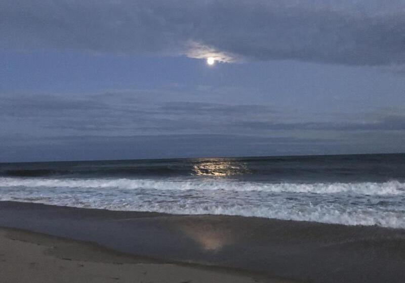 فندق على الطريق Ocean Surf Resort