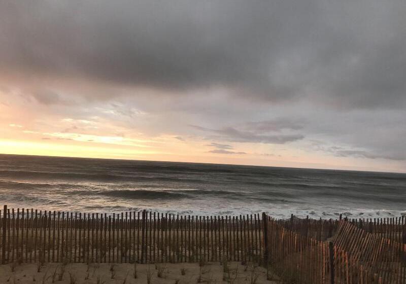 فندق على الطريق Ocean Surf Resort