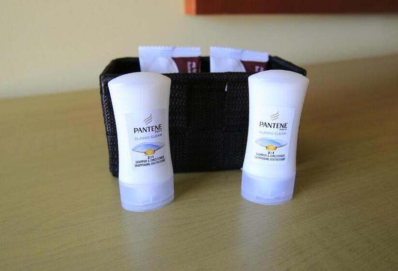 汽车旅馆  Shamrock Country Inn