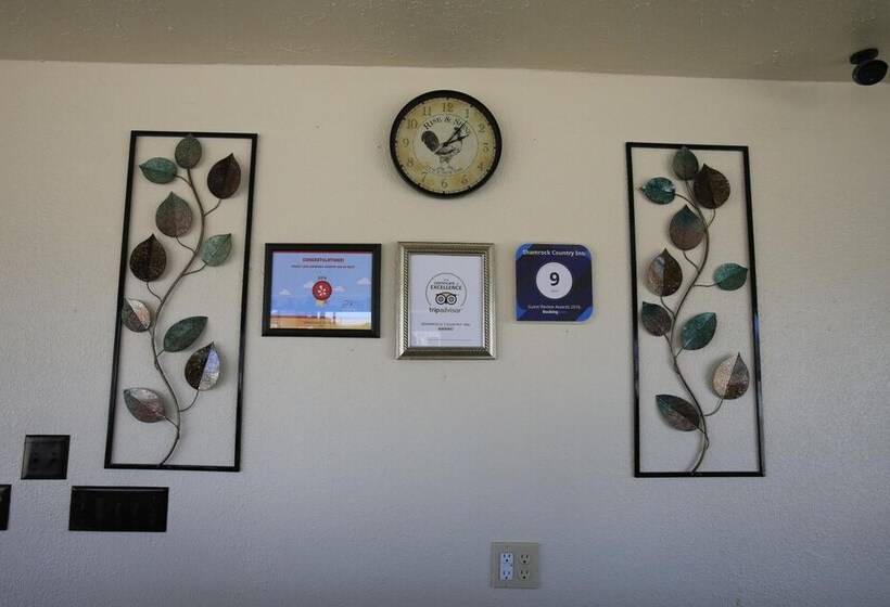 فندق على الطريق Shamrock Country Inn