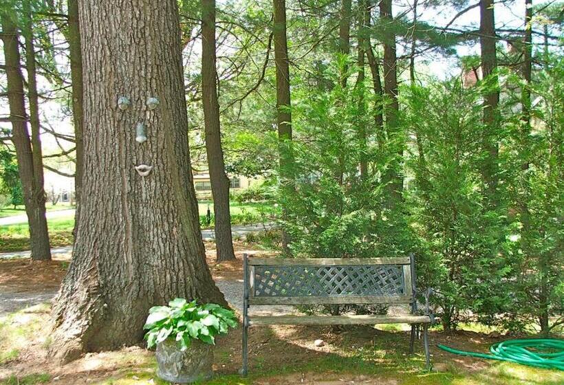 Oakland Cottage Bed And Breakfast