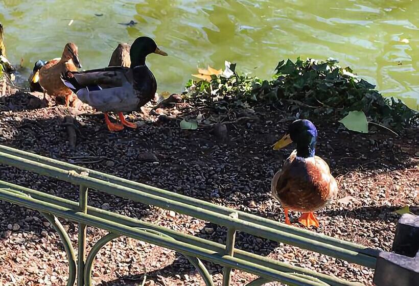 פנסיון Hôtes De Libourne