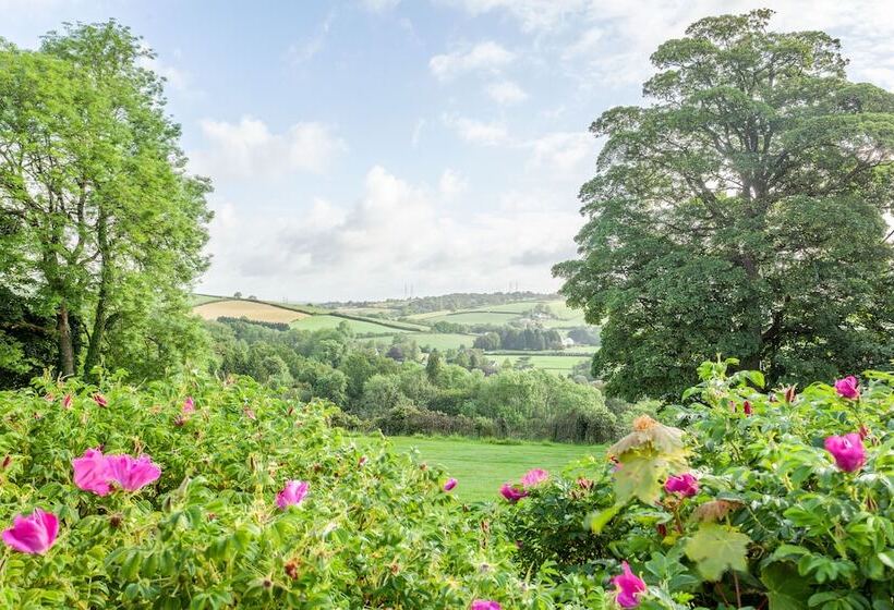 פנסיון Mansion House Llansteffan