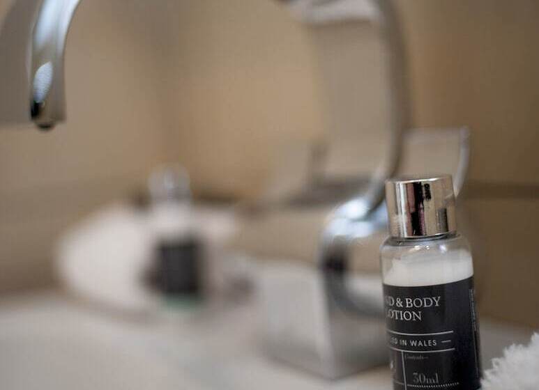 פנסיון Mansion House Llansteffan