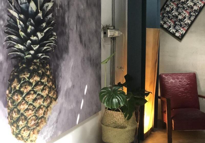 پانسیون Zozola