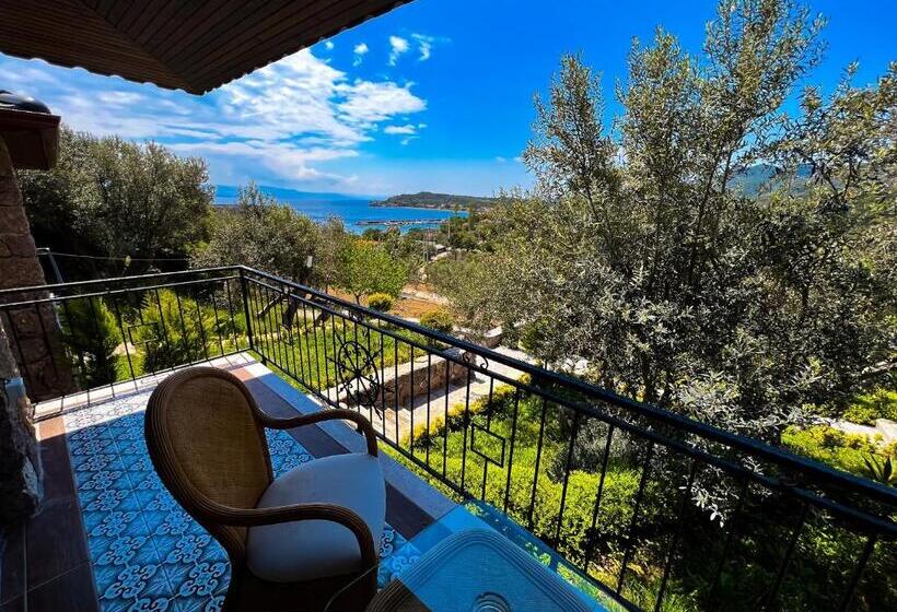 Bed and Breakfast Assos Longevity