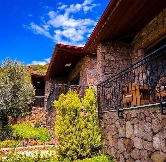 Bed and Breakfast Assos Longevity