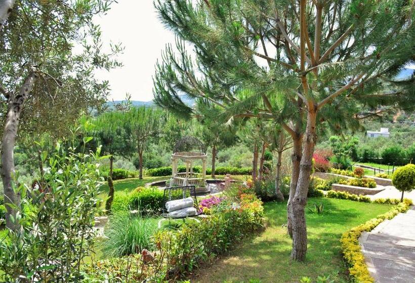 Bed and Breakfast Assos Longevity