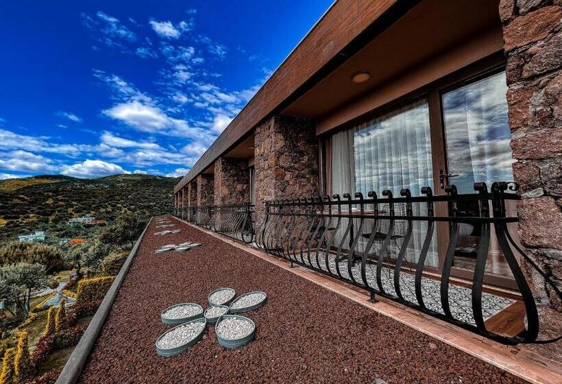 Bed and Breakfast Assos Longevity