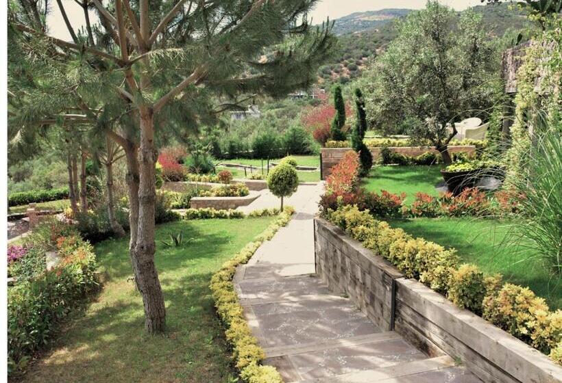 تختخواب و صبحانه Assos Longevity