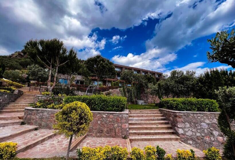 Bed and Breakfast Assos Longevity