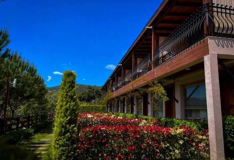 Bed and Breakfast Assos Longevity