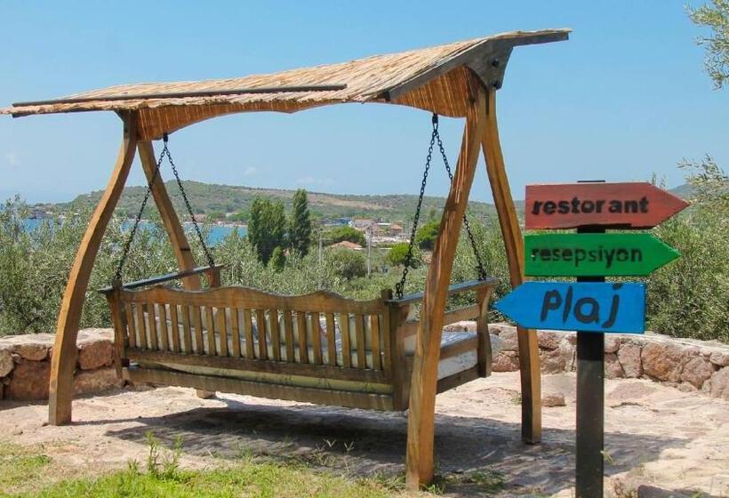 تختخواب و صبحانه Assos Longevity