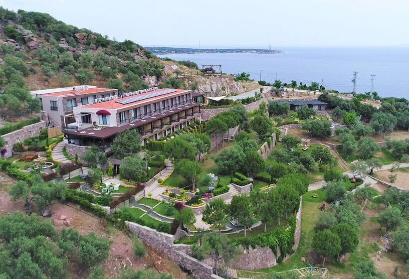 Bed and Breakfast Assos Longevity