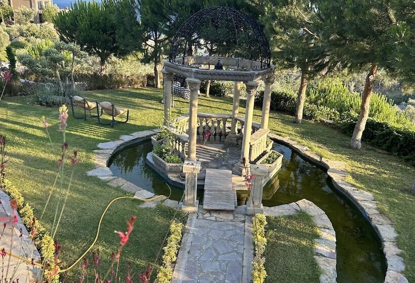 تختخواب و صبحانه Assos Longevity