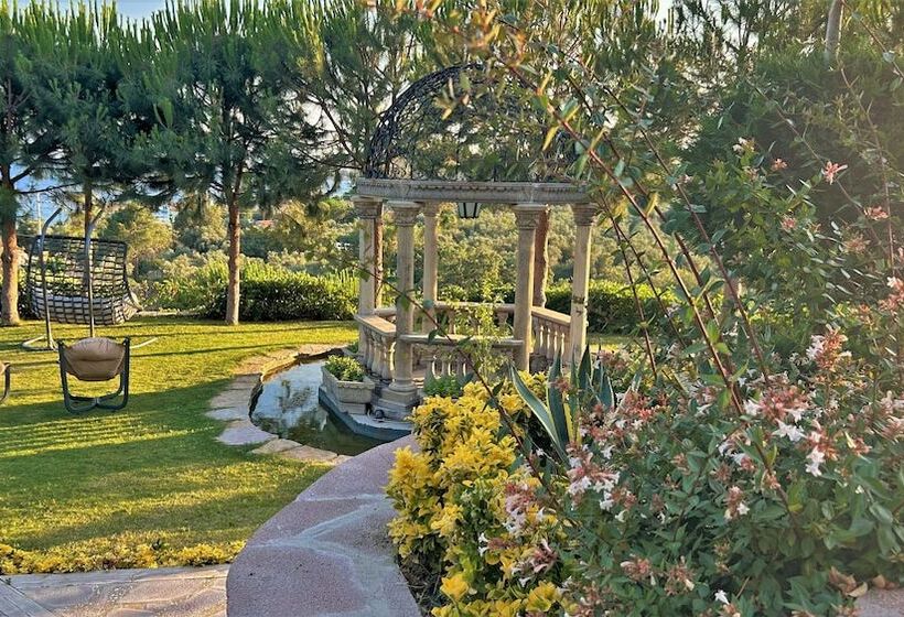 Bed and Breakfast Assos Longevity