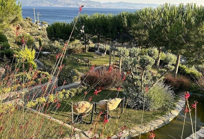 Bed and Breakfast Assos Longevity