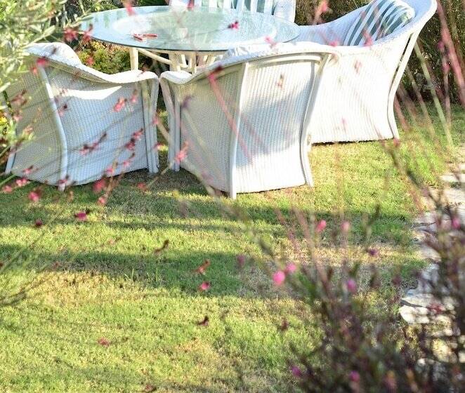 Bed and Breakfast Assos Longevity