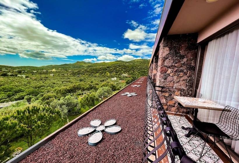 Bed and Breakfast Assos Longevity