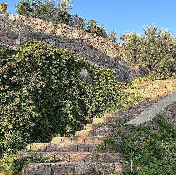 تختخواب و صبحانه Assos Longevity